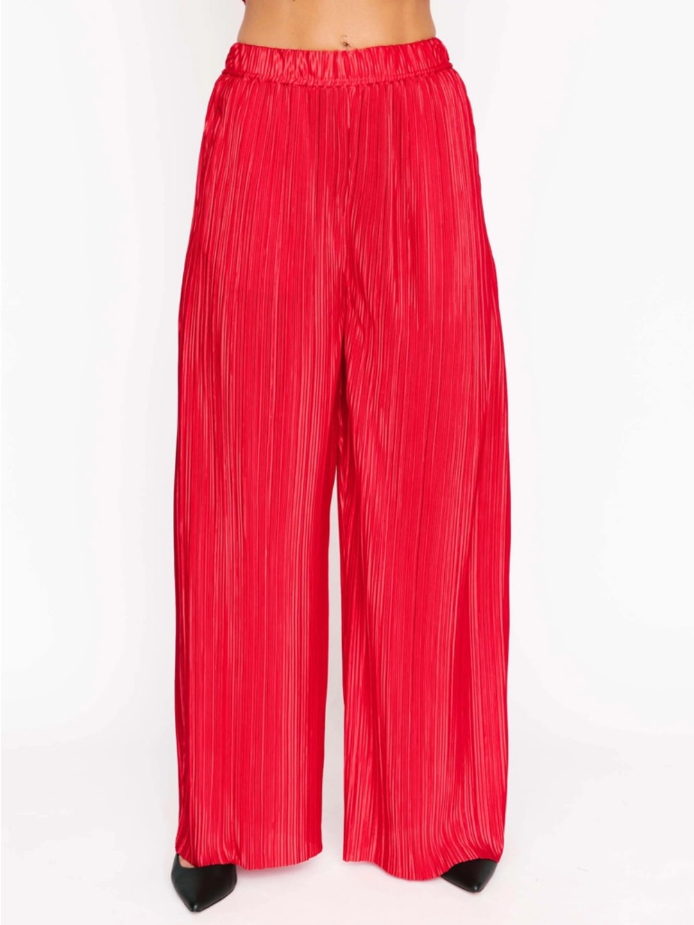 NWT Smash + Tess Tasia Wide Leg Pleated Pant